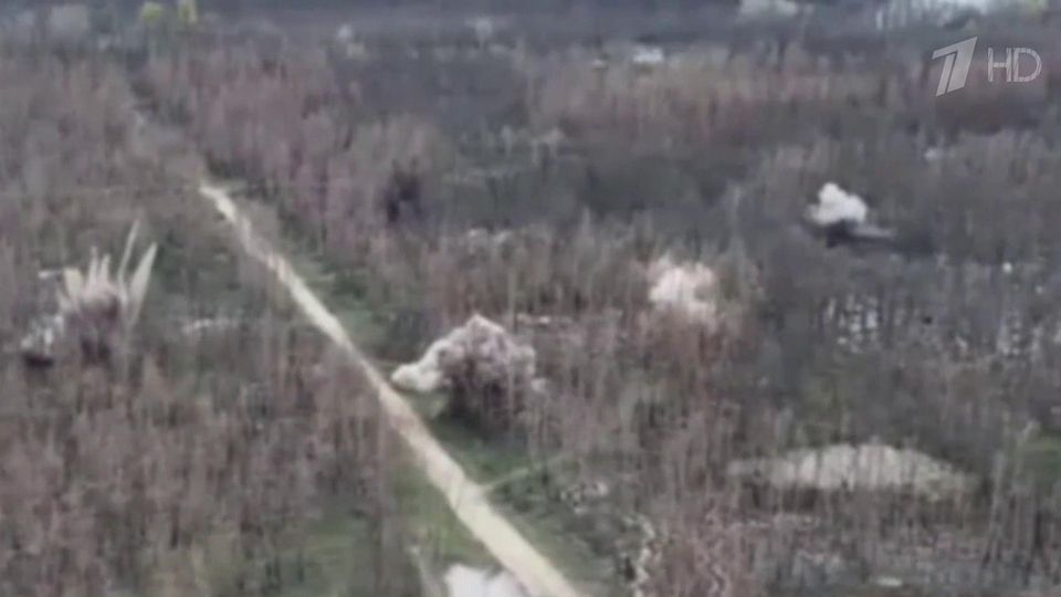 �������� ������� ������� ����� ������ ����� ������������ ������������