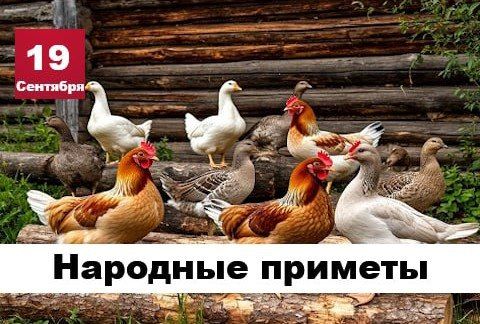 �������� ������� 19 ��������