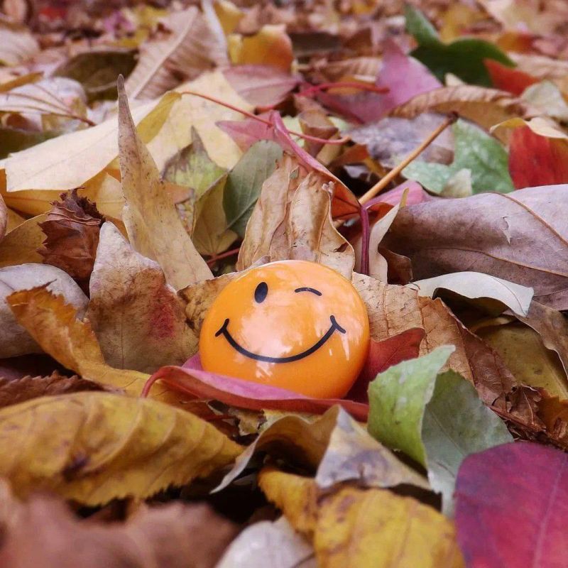 Друзья!. Доброе утро! Какой бы ни была погода за окном, пусть настроение будет солнечным! На календаре пятница - пусть она будет удачной! И пусть сегодня все получается)) Подписывайтесь на: