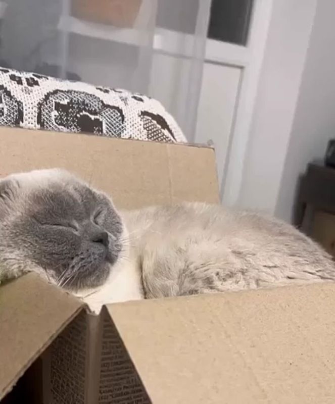 ����� ���������� ��� ������ �� ������