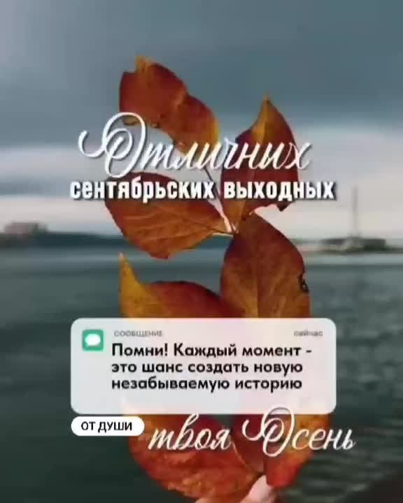 ������ ����! ������� ������� � ���� ������ � �����������