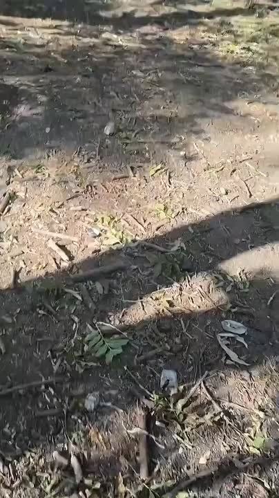 �������� ���� ��� ���������� ���������� fpv-������ � ������ ���������