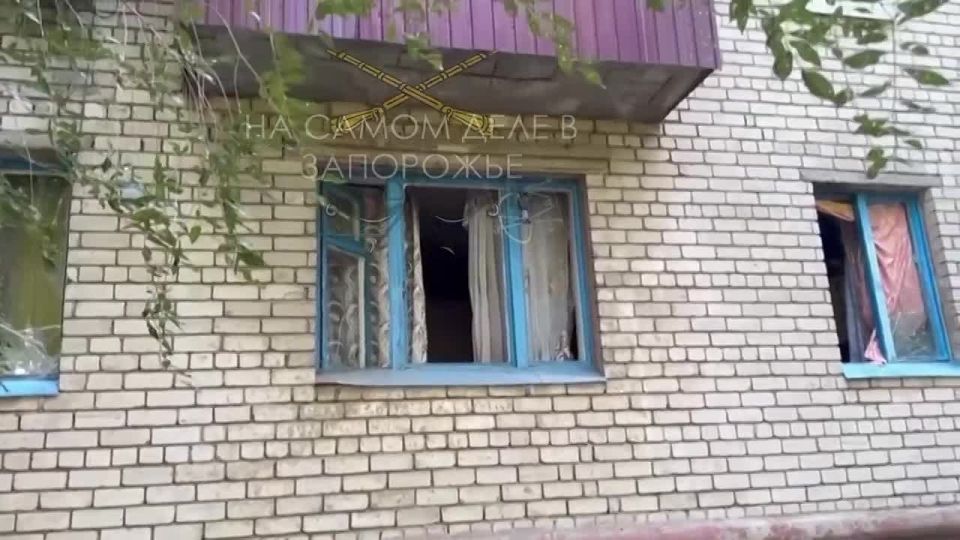 ��� ���������� ��������������� ��� � ���������� ����������� �������, �������� � 12 ������������, ���� ������� �����, 3 �������� � ������ ���������, ����� ��� ������ 2024 ���� ��������