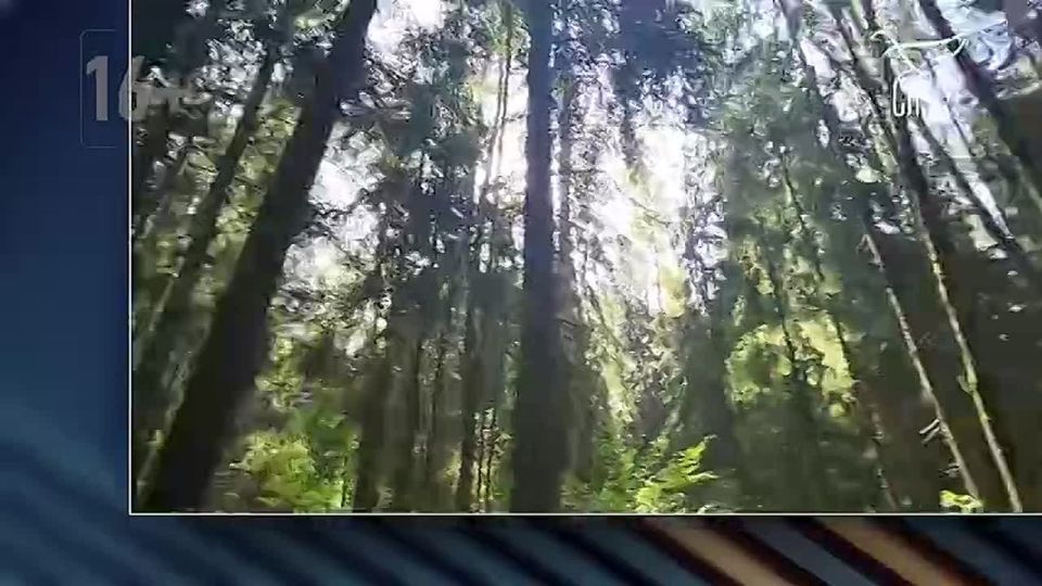  : ,  ,  18:00,         &quot;&quot;      