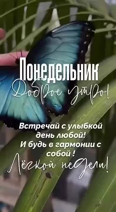 � ������ ����� ������������!