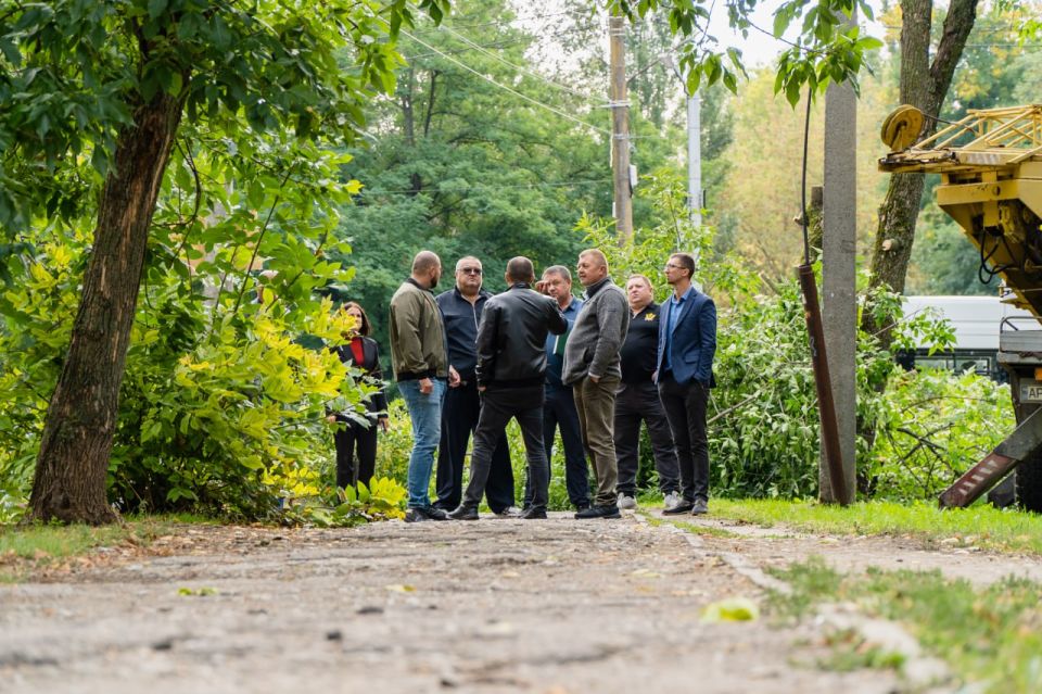 ������ ��������: ������� ����� �� �������� ������� � ���������������