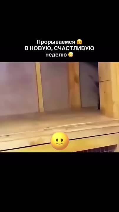 ������, � ����� ������� �������!