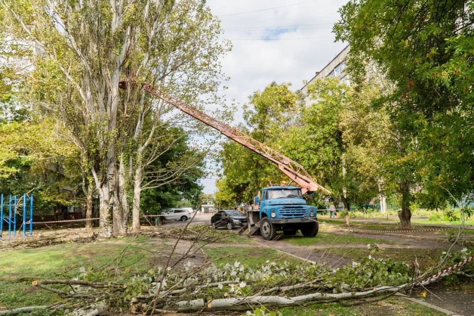 � ���������� ����� ������������ ����� �� ��. �������� �������