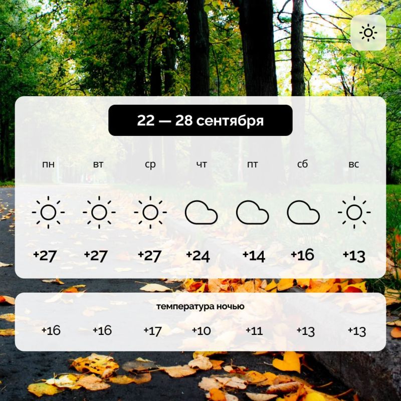 ������ � ����������� ������� �� 22 � 28 ��������
