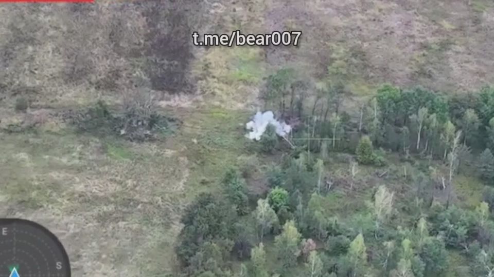 ������� ������ "�����" ���������� ���������� �������� � �� ������� � �����������