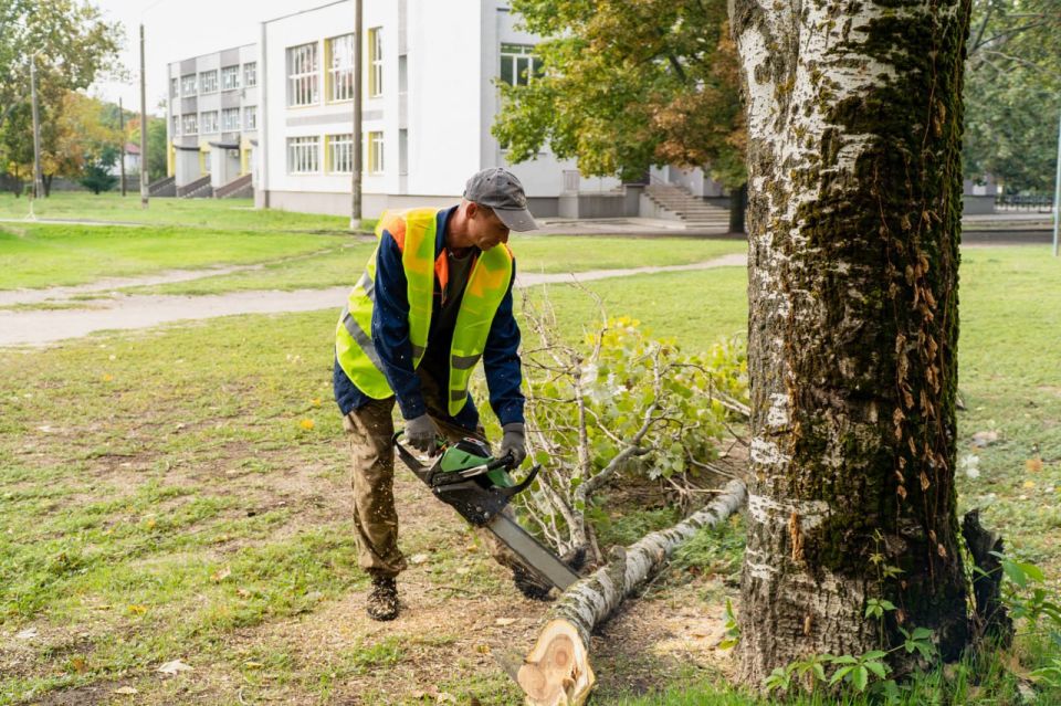 � ���������� ������������ ����� �� �������� �������