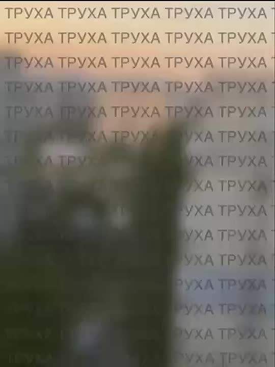 ��� ����� �� ���������. ����� ������ ��������