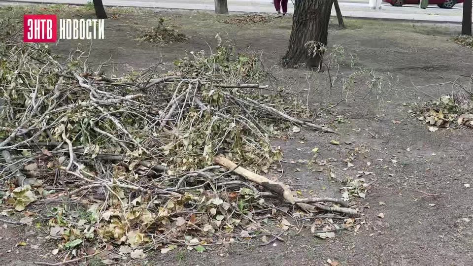Труд, который делает осень в Энергодаре красивой