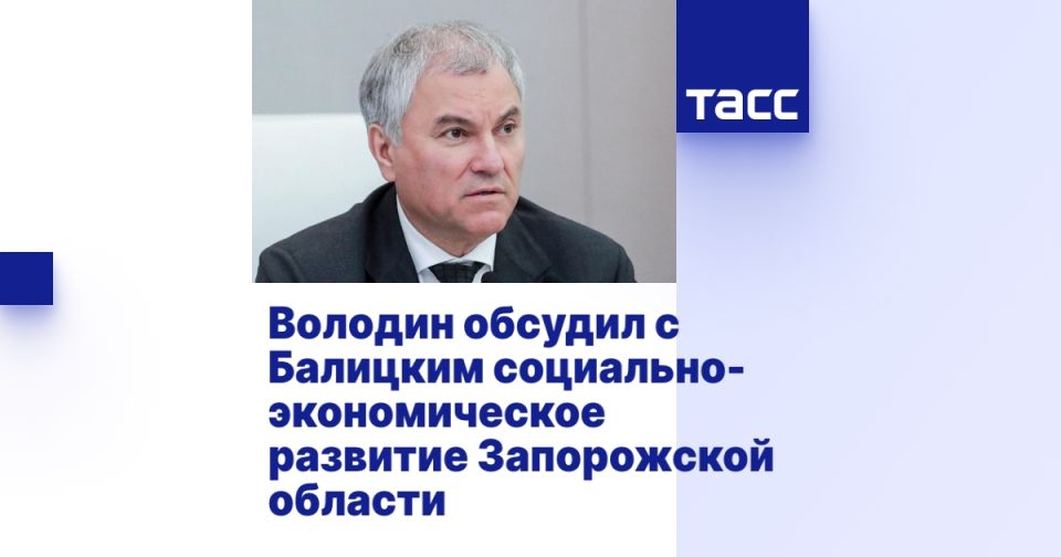 Володин обсудил с Балицким социально-экономическое развитие Запорожской области