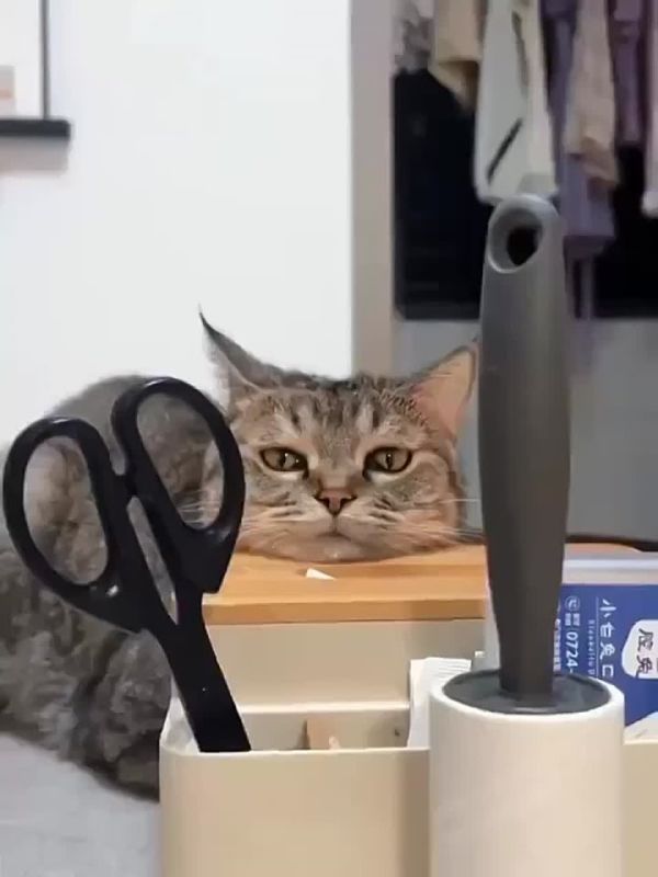 ��������� � ����� �������� ���
