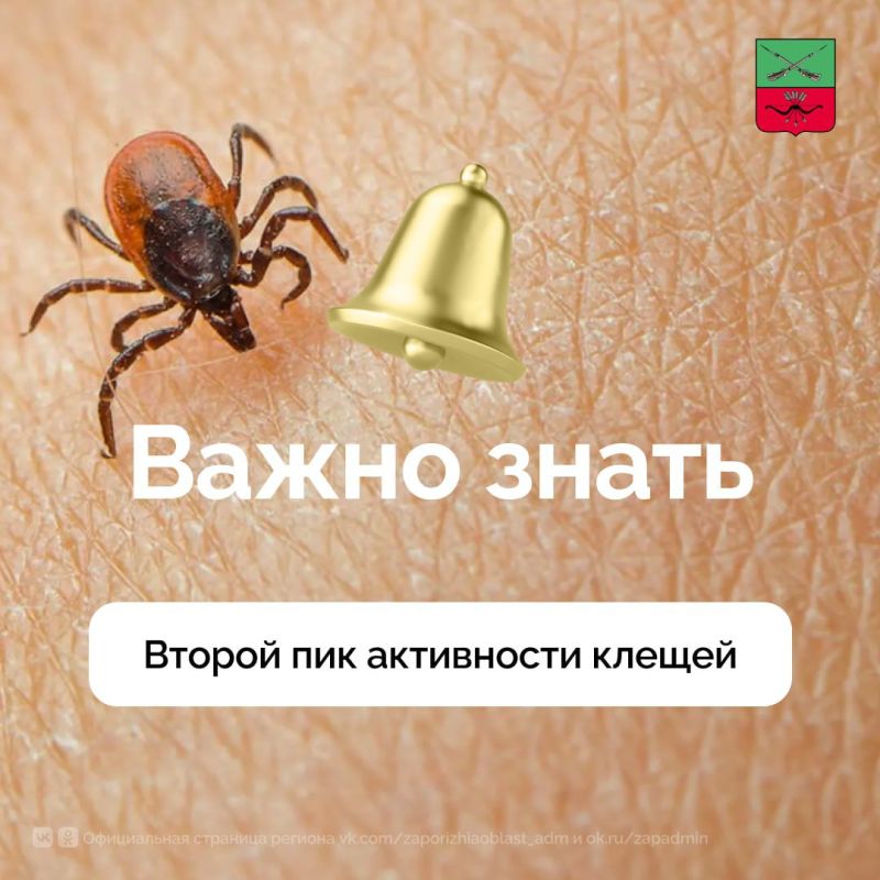 ������������ ������ ������