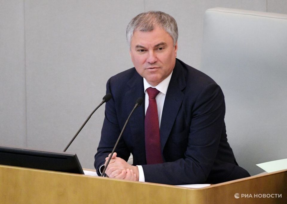 Володин провел встречу с губернатором Запорожской области