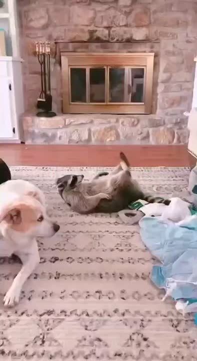 ������ ����, ������! �������� ��� ��� � ��������� ����������!