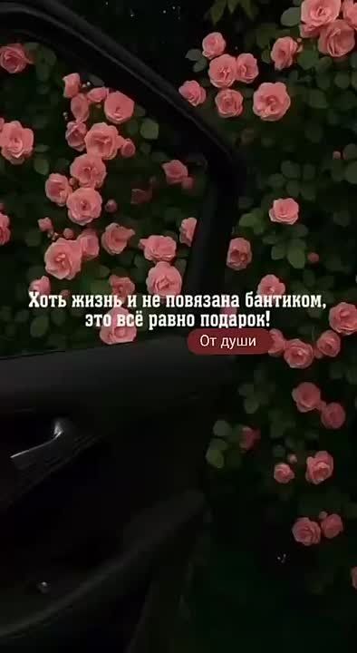 ������ ����! ����� ��� ����� ������� ������� ������ � ������� � �����
