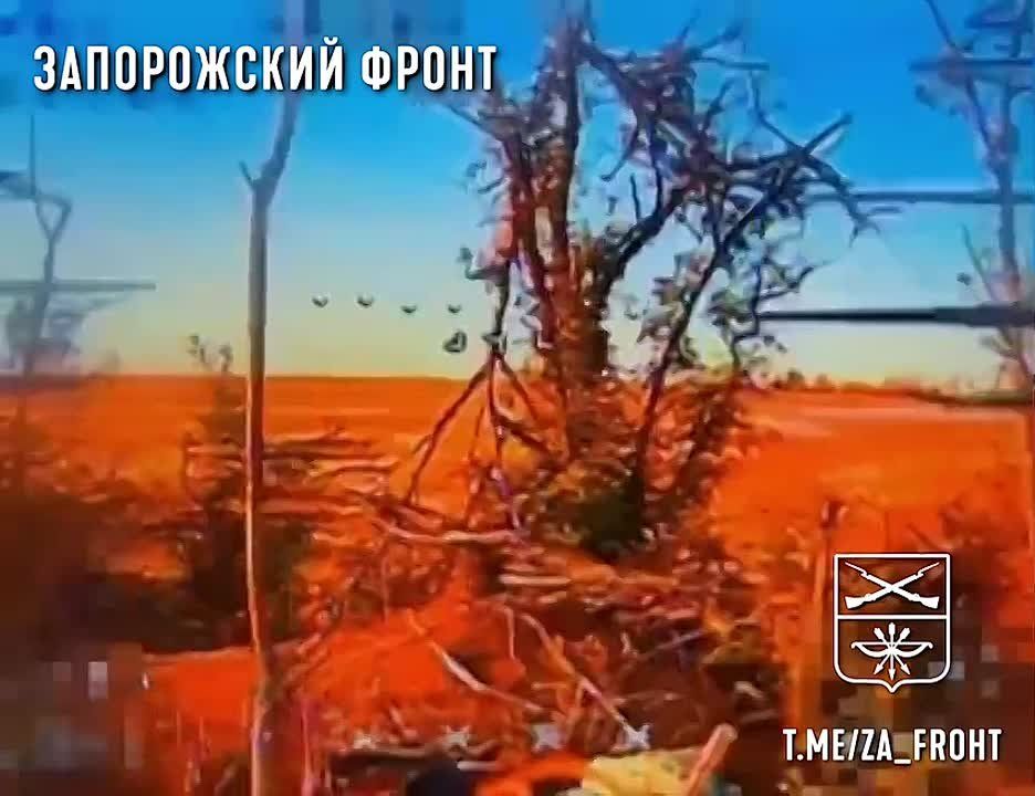 ����� �� ���� �� "������"