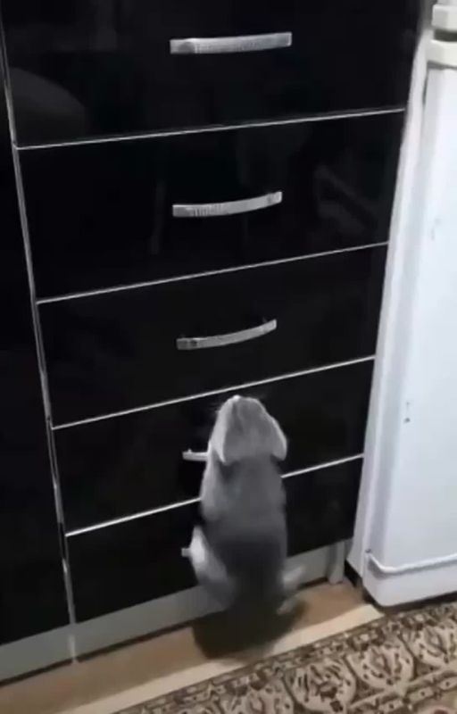����� � ��������� �������. ������ �� ������, �� ���������
