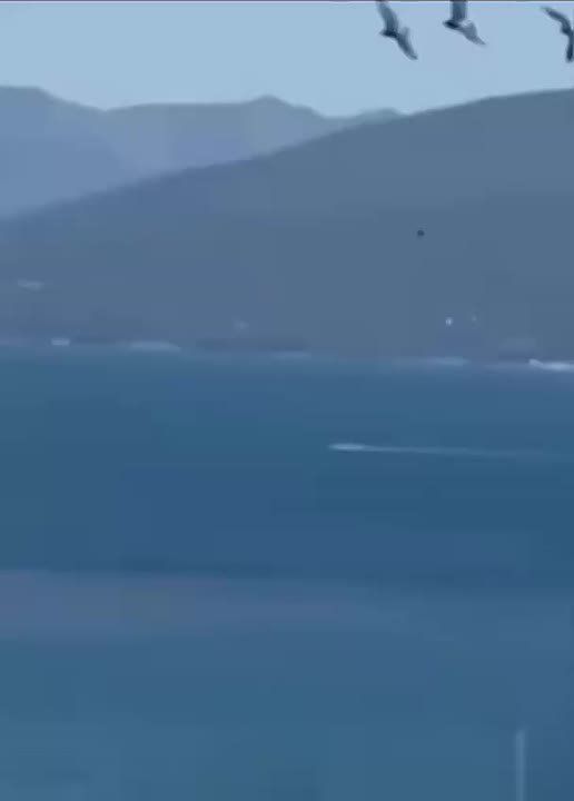 ������ ����������� ������ �� ���������� ������������ ������� �� �����������, ������� ������� �������� ��������� ���� ������������� ������������ � �������, ������� ������� �� ����� �������