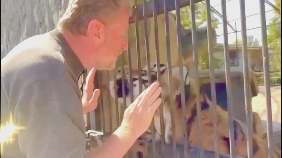 Наша школа принимает участие в благотворительной акции