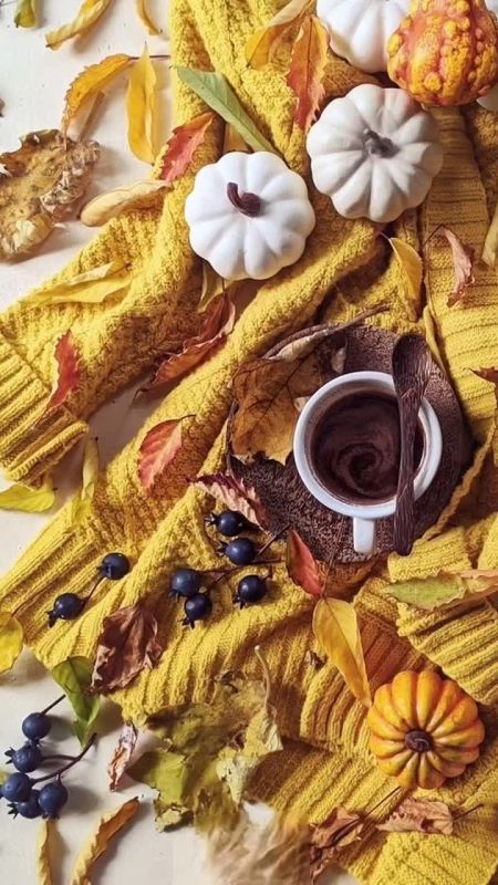 24 сентября 2025 года