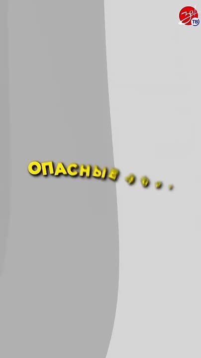 ��� �������� ������ ������ �� ������� ����� � ���������