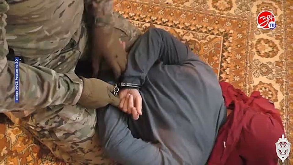 В Запорожской области осудили двоих жителей Токмака