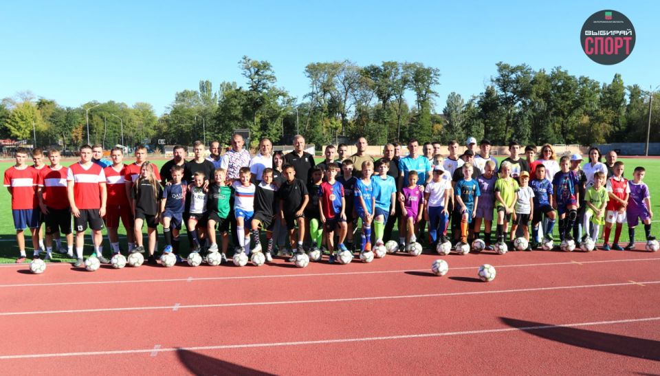 24        :       ,  80-     