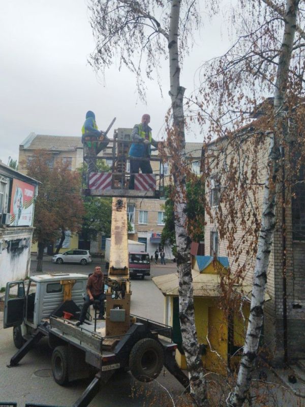 Специалисты МУП КП «Контакт» при поддержке шефа региона Республики Ингушетия провели опиловку аварийного дерева на территории Молочанского многопрофильного центра ПТО