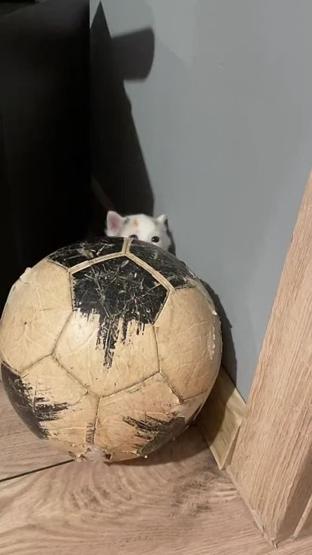 ��� ���� ������� ����. ����� �������� ���������, � �� ���� � ������
