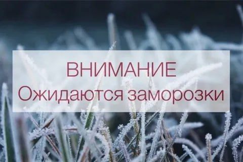 АДМИНИСТРАЦИЯ ПРИМОРСКОГО МУНИЦИПАЛЬНОГО ОКРУГА ИНФОРМИРУЕТ!