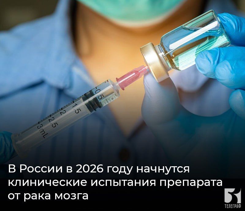 � ������ � 2026 ���� �������� ����������� ��������� ��������� �� ���� �����