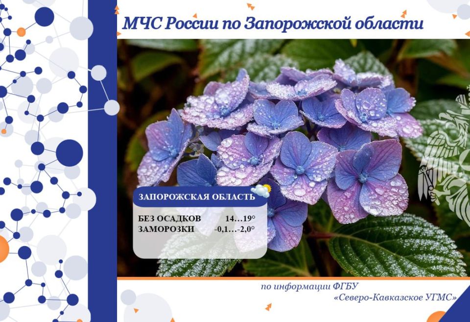 � 26 �� 27 �������� �� ���������� ������� ���������: