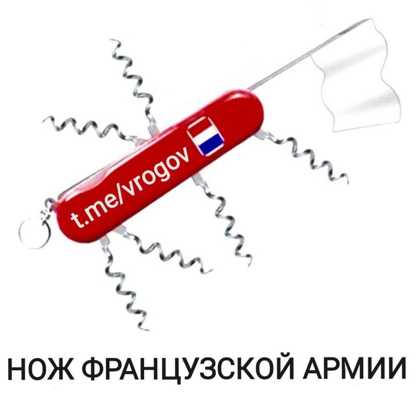Владимир Рогов: А кто это сделал?!. Во Франции ведётся расследование инцидента с неопознанными дронами, замеченными над военным лагерем Мурмелон-ле-Гран в ночь на воскресенье