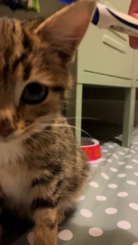�� �������-��, ������ ��������