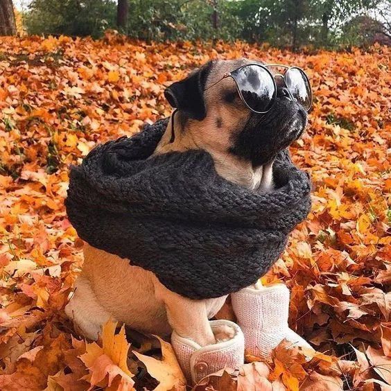 Друзья! Доброе утро!. Не замерзли, пока добрались на работу? Одевайтесь теплее и не болейте! На календаре пятница