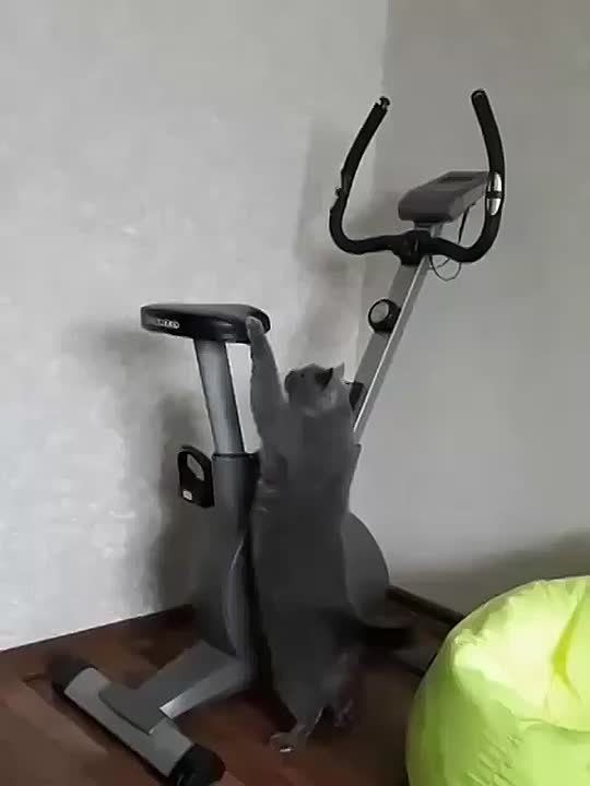 � �� ���, ���� ��� �����. � �� ������� ������� �����? �������������� �� ����������� ������� � Telegram � ��������� � �������� � ��������