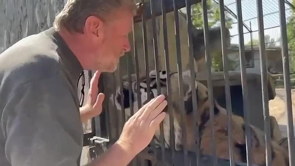 Здравствуйте.. Я, руководитель Васильевского реабилитационного центра для экзотических животных. Пишу Вам с надеждой, что вы не безразличны к судьбе диких животных и сможете разместить наш пост о помощи у себя на канале и у...