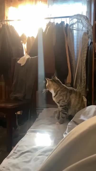 ��� � ��������. ������������ ������� ���������