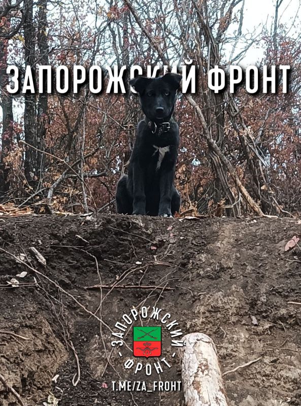 ���� ������� ���� � ������������ �����������