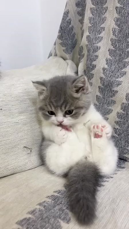��� � ������� � ����� ��������