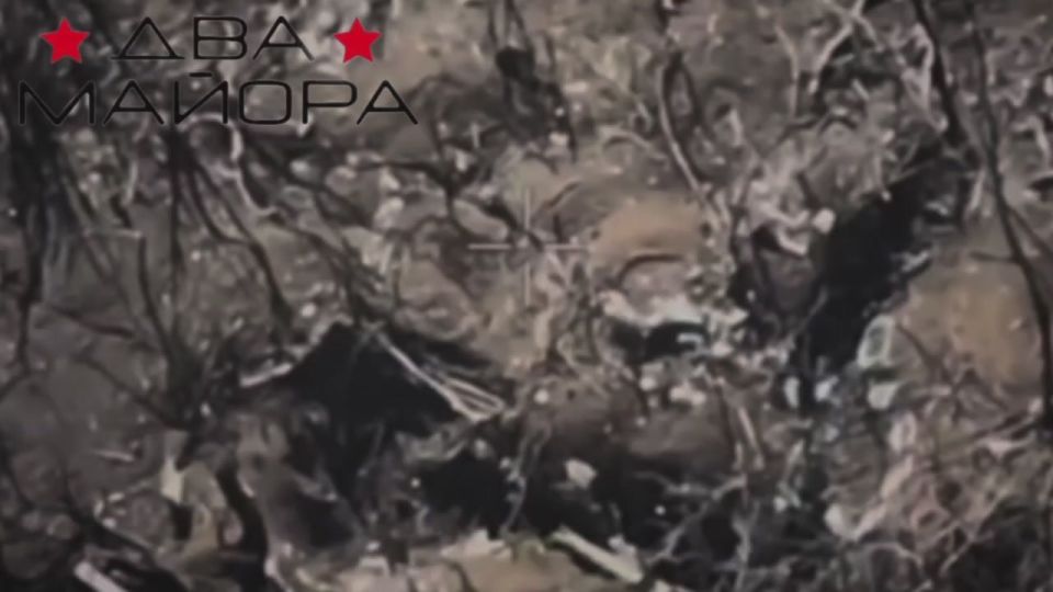 Два майора: Запорожский фронт 291-й мотострелковый полк