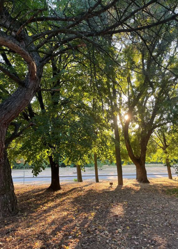 С добрым утром, с наступившим днём!