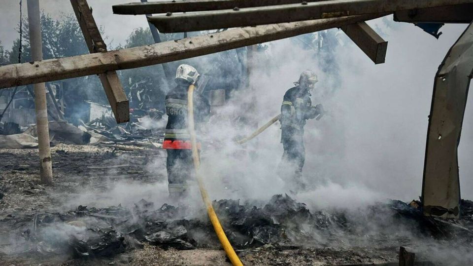 12 ����� �������: �� ������� �������� 11 ��������