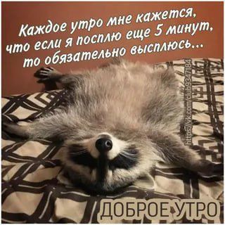 ������ ����, ������! �������� ��� ��� � ��������� ����������!