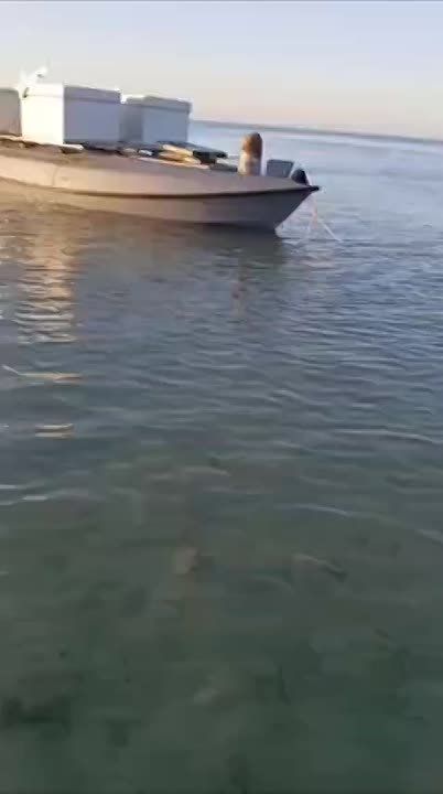 � ������������� ���� ����� ��������� ���������� �����-�������� ������
