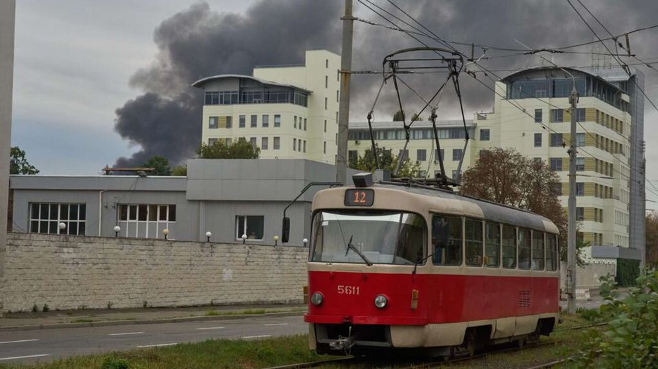 ���� ��������� ����� ����� �������